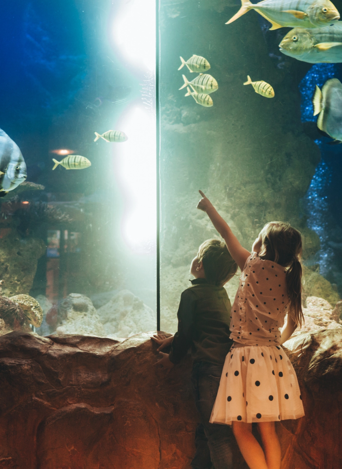 Lisbon Aquarium, Family hotel Lisbon